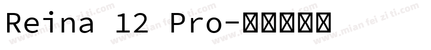 Reina 12 Pro字体转换